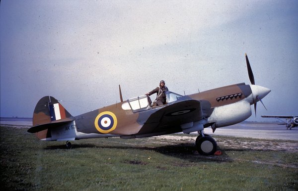 Curtiss P-40